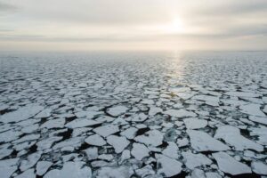 Read more about the article Vanishing Under the Ice: The Urgent Need to Protect the Arctic’s Hidden Ecosystems